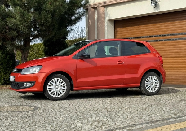 Volkswagen Polo cena 18500 przebieg: 173100, rok produkcji 2010 z Bolesławiec małe 596